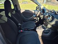 Usata Smart ForFour Passion 71 CV (52 kW) 2016 Utilitaria