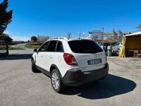 usata Opel Antara 2.2 CDTI 163CV Start&Stop Cosmo Plus-2015