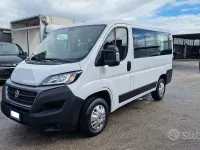 Usata Fiat Ducato 140 CV (102 kW) 2020 Bianco Furgone