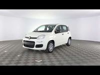 Nuova Fiat Panda Icon 70 CV (51 kW) 2025 Bianco gelato Utilitaria