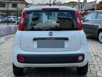 Usata Fiat Panda 69 CV (50 kW) 2017 Bianco Utilitaria