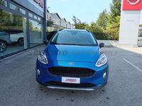 usata Ford Fiesta 7ª serie Active 1.0 Ecoboost 100 CV