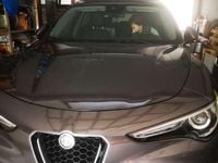 Usata Alfa Romeo Stelvio Business 160 CV (117 kW) 2021 Grigio SUV