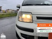 Usata Fiat Panda Active 60 CV (44 kW) 2010 Bianco Utilitaria