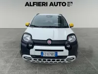 Usata Fiat Panda Cross Cross 69 CV (50 kW) 2025 Rosso Utilitaria