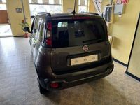 usata Fiat Panda 1.0 1.0 FireFly S&S Hybrid