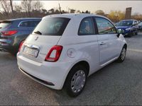 usata Fiat 500 1.0 FireFly Hybrid Pop