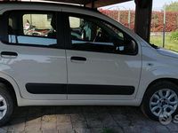 Usata Fiat Panda 70 CV (51 kW) 2014 Marrone Utilitaria