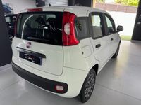 Usata Fiat Panda Lounge 69 CV (50 kW) 2017 Bianco Utilitaria