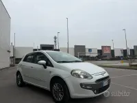Usata Fiat Punto Evo Dynamic 65 CV (47 kW) 2010 Bianco Utilitaria