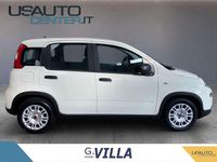 Usata Fiat Panda Icon 70 CV (51 kW) 2024 Bianco Utilitaria