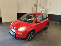 Usata Fiat Panda Sport 69 CV (50 kW) 2022 Rosso Utilitaria