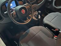 Usata Fiat Panda S 70 CV (51 kW) 2024 Utilitaria