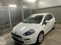 Usata Fiat Punto 95 CV (69 kW) 2013 Bianco Utilitaria