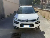 Usata Citroën C4 Shine 120 CV (88 kW) 2020 Bianco SUV