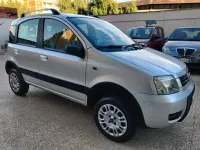 Usata Fiat Panda 4x4 75 CV (55 kW) 2009 Grigio Utilitaria