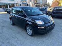 Nuova Fiat Panda Pop 69 CV (50 kW) 2025 Nero Utilitaria