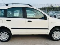 Usata Fiat Panda 4x4 75 CV (55 kW) 2009 Bianco Utilitaria