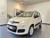 Usata Fiat Panda 80 CV (58 kW) 2014 Beige Utilitaria