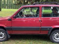 Usata Fiat Panda 4x4 Trekking 54 CV (39 kW) 2000 Rosso Utilitaria