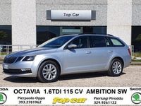 Usata Skoda Octavia Ambition 116 CV (85 kW) 2019 Argento metallizzato Station wagon