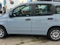Usata Fiat Panda 69 CV (50 kW) 2017 Grigio Berlina