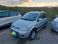 Usata Fiat Panda 4x4 Climbing 75 CV (55 kW) 2011 Argento Utilitaria