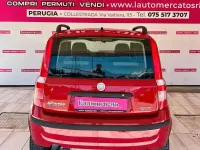 Usata Fiat Panda Dynamic 59 CV (43 kW) 2009 Rosso Utilitaria