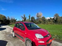 Usata Fiat Panda 2012 Rosso Berlina