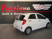 Usata Kia Picanto 67 CV (49 kW) 2015 Bianco Utilitaria