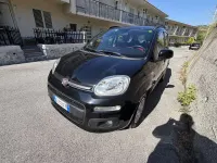 Usata Fiat Panda Easy 95 CV (69 kW) 2016 Utilitaria