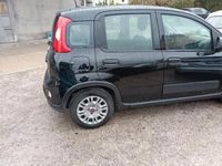 Usata Fiat Panda 2023 Nero Berlina