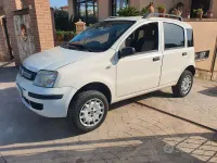 Usata Fiat Panda 4x4 69 CV (50 kW) 2008 Bianco Utilitaria