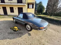 Usata Alfa Romeo Spider 109 CV (80 kW) 1966 Grigio Cabrio