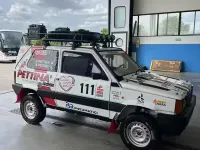 Usata Fiat Panda 4x4 50 CV (36 kW) 2024 Bianco Utilitaria