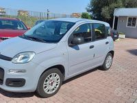 Usata Fiat Panda Easy 69 CV (50 kW) 2019 Grigio Utilitaria