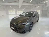 Usata Lexus NX350h 190 CV (139 kW) 2023 Verde SUV