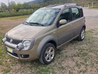 Usata Fiat Panda 4x4 69 CV (50 kW) 2010 Utilitaria