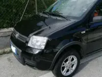 Usata Fiat Panda 4x4 60 CV (44 kW) 2009 Nero Utilitaria