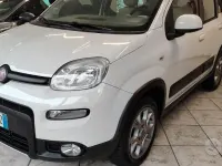Usata Fiat Panda 4x4 75 CV (55 kW) 2014 Bianco Utilitaria