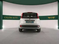 Usata Fiat Panda 69 CV (50 kW) 2021 Argento Utilitaria