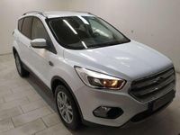 Usata Ford Kuga S 120 CV (88 kW) 2018 Bianco SUV
