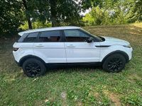 Occasion Land Rover Range Rover evoque 150 PK (110 kW) 2018 Stationwagen