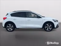Usata Ford Focus Active 125 CV (91 kW) 2021 Bianco Berlina