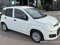 usata Fiat Panda 1.2 69 Cv GPL Van E6 2 posti + IVA
