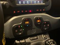 Usata Fiat Panda Cross Cross 2024 Rosso Utilitaria