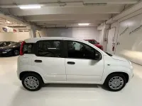 Nuova Fiat Panda 65 CV (47 kW) 2026 Bianco Utilitaria