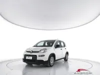 Usata Fiat Panda S 69 CV (50 kW) 2023 Bianco Utilitaria