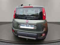 Usata Fiat Panda 4x4 75 CV (55 kW) 2014 Verde Utilitaria