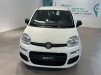 Nuova Fiat Panda 69 CV (50 kW) 2025 Bianco Utilitaria